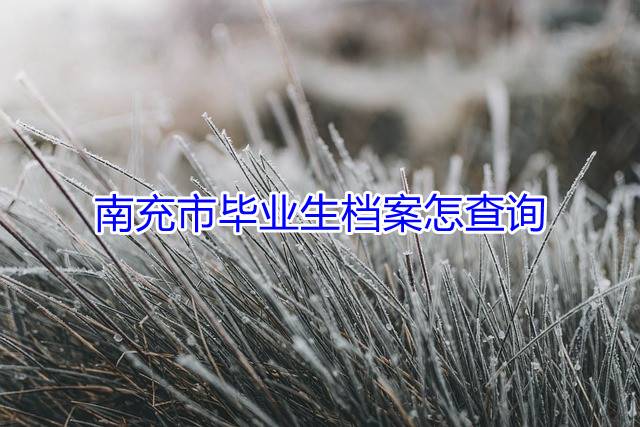 南充市毕业生档案怎么查询