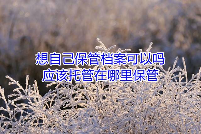 想自己保管档案可以吗，应该托管在哪里保管