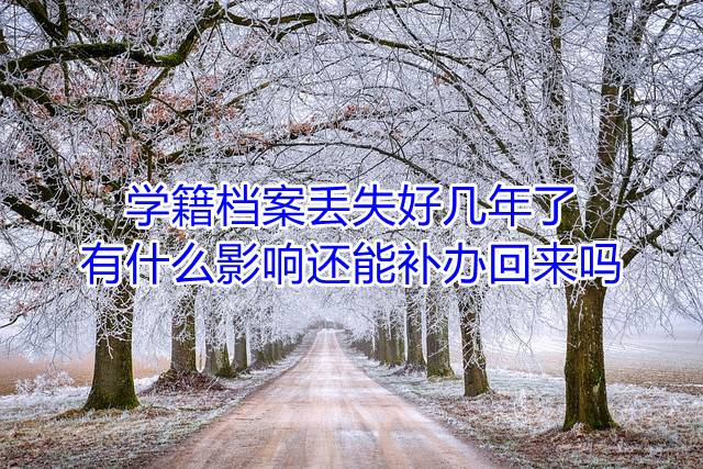学籍档案丢失好几年了有什么影响还能补办回来吗