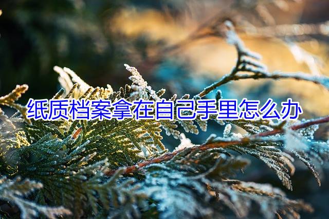 纸质档案拿在自己手里怎么办