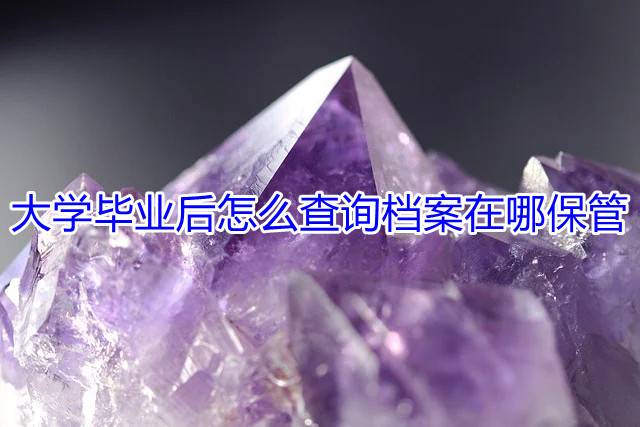 大学毕业后怎么查询档案在哪保管