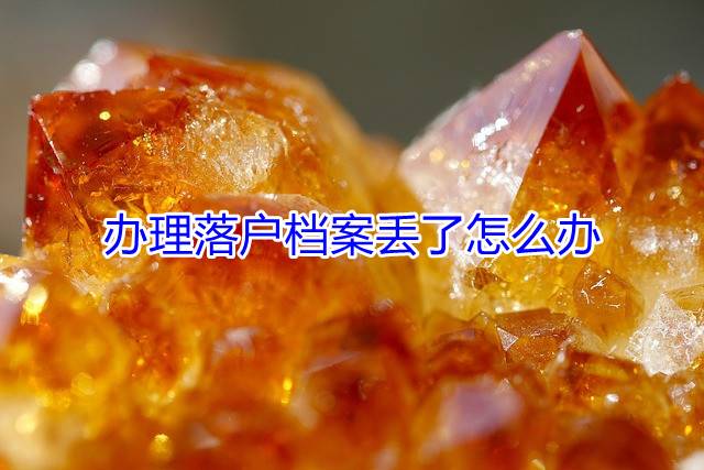 办理落户档案丢了怎么办