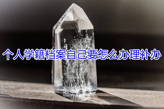 个人学籍档案自己要怎么办理补办