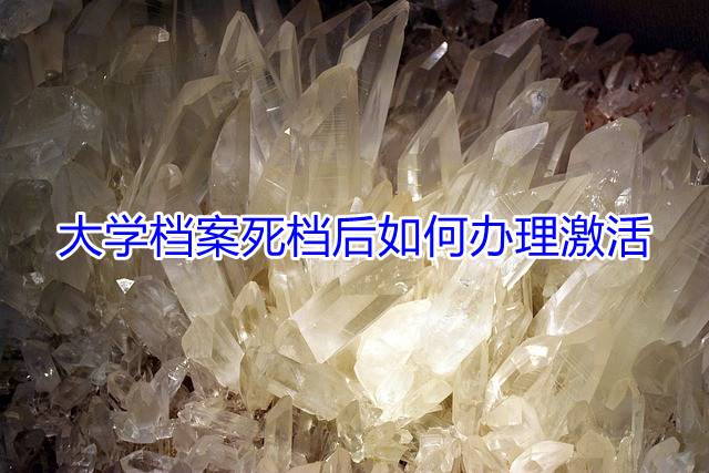 大学档案死档后如何办理激活