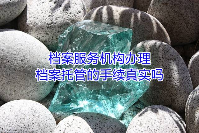 档案服务机构办理档案托管的手续真实吗