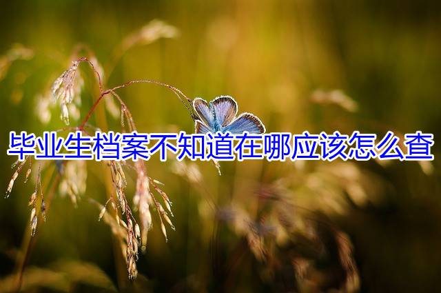 毕业生档案不知道在哪应该怎么查