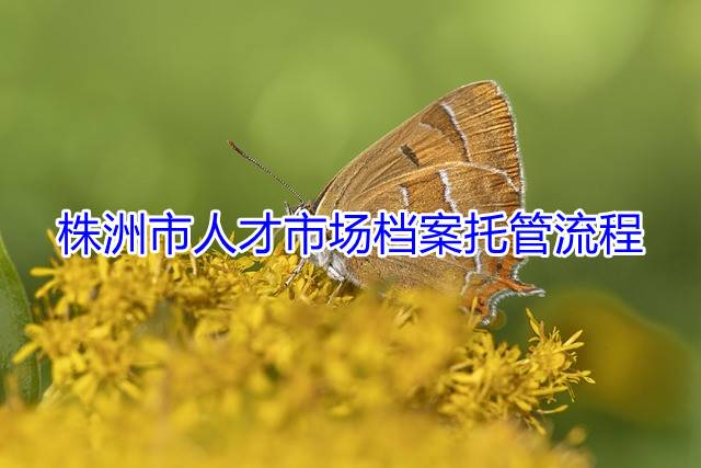 株洲市人才市场档案托管流程