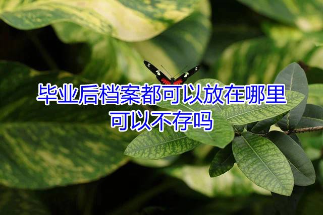 毕业后档案都可以放在哪里，可以不存吗