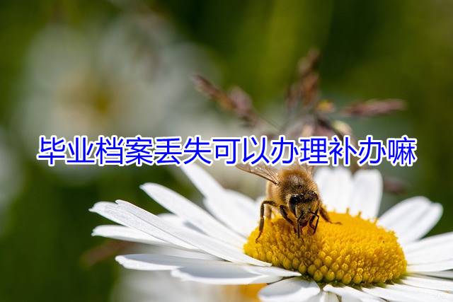 毕业档案丢失可以办理补办嘛
