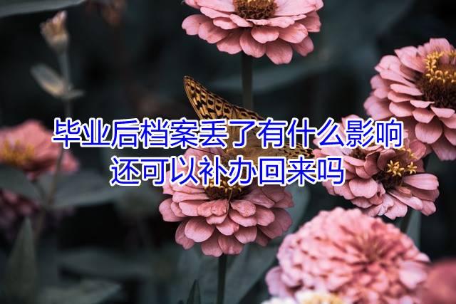毕业后档案丢了有什么影响，还可以补办回来吗