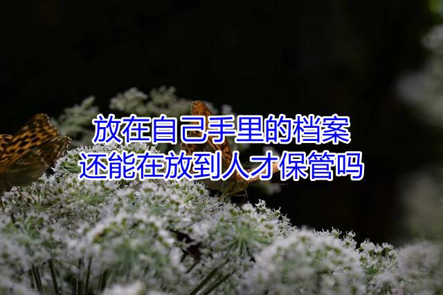 放在自己手里的档案还能在放到人才保管吗