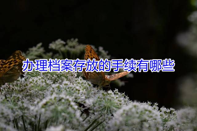 办理档案存放的手续有哪些
