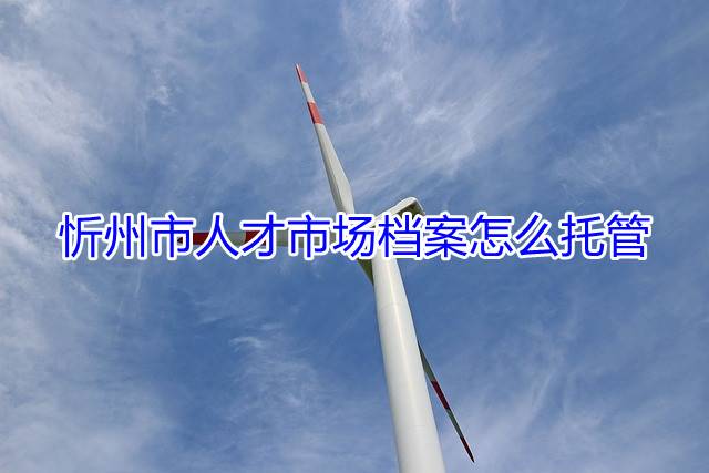 忻州市人才市场档案怎么托管