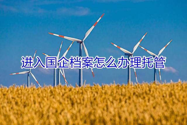 进入国企档案怎么办理托管