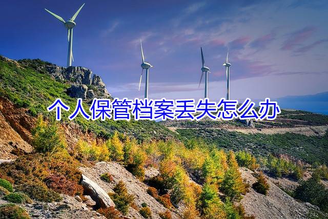 个人保管档案丢失怎么办