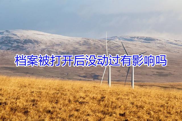 档案被打开后没动过有影响吗