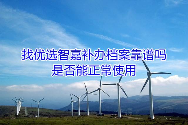 找优选智嘉补办档案靠谱吗，是否能正常使用