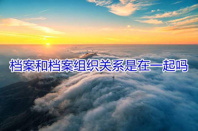 档案和党组织关系是在一起吗