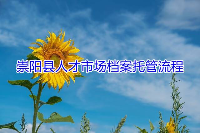 崇阳县人才市场档案托管流程