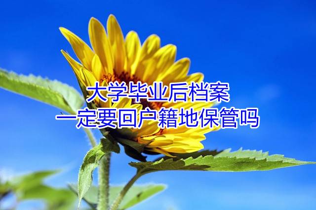 大学毕业后档案一定要回户籍地保管吗