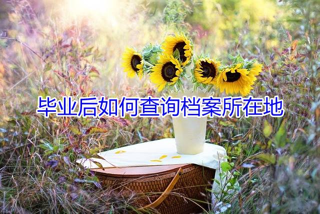 毕业后如何查询档案所在地