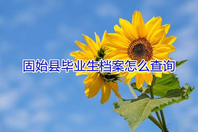 固始县毕业生档案怎么查询