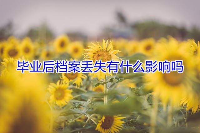 毕业后档案丢失有什么影响吗