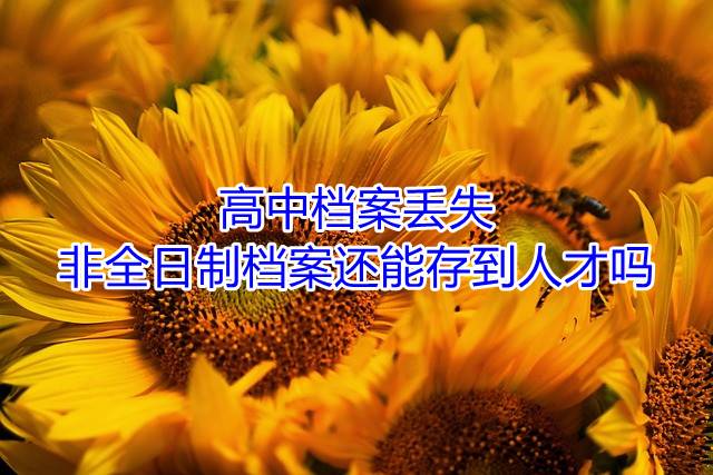 高中档案丢失非全日制档案还能存到人才吗
