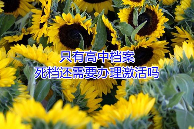 只有高中档案死档还需要办理激活吗
