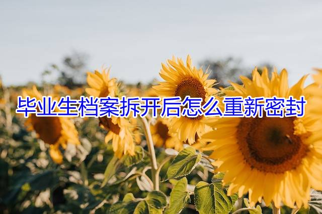 毕业生档案拆开后怎么重新密封