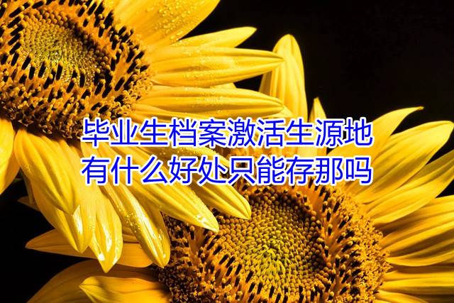 毕业生档案存在生源地有什么好处只能存那吗