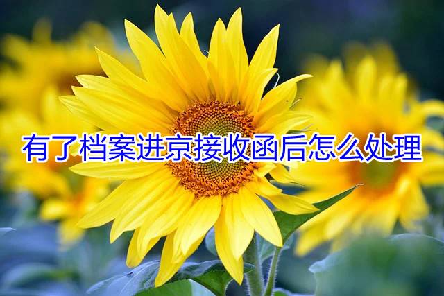 有了档案进京接收函后怎么处理