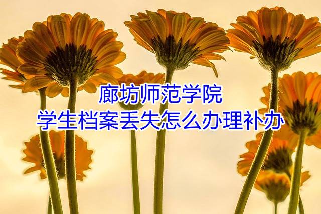 廊坊师范学院学生档案丢失怎么办理补办