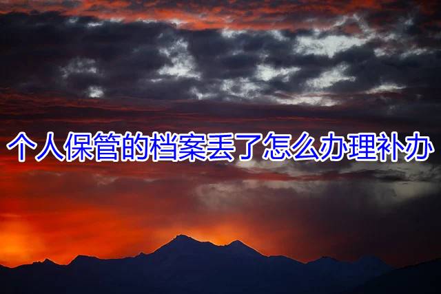 个人保管的档案丢了怎么办理补办