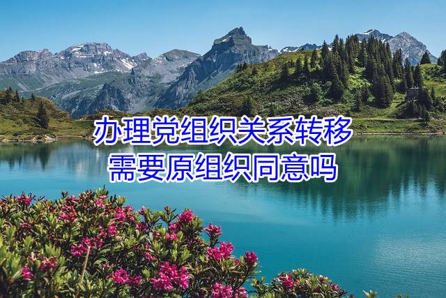 办理党组织关系转移需要原组织同意吗