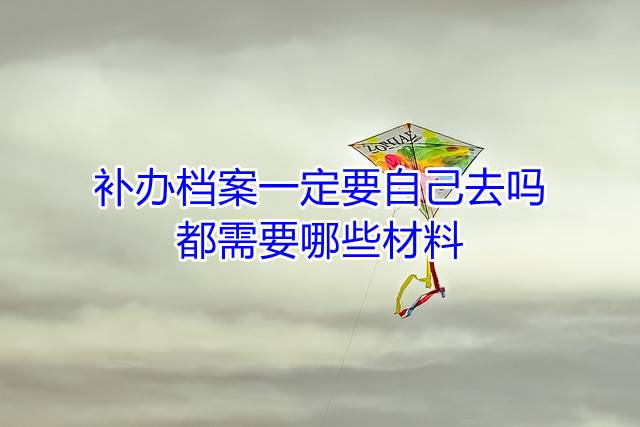 补办档案一定要自己去吗，都需要哪些材料