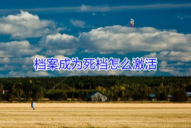 档案成为死档怎么激活