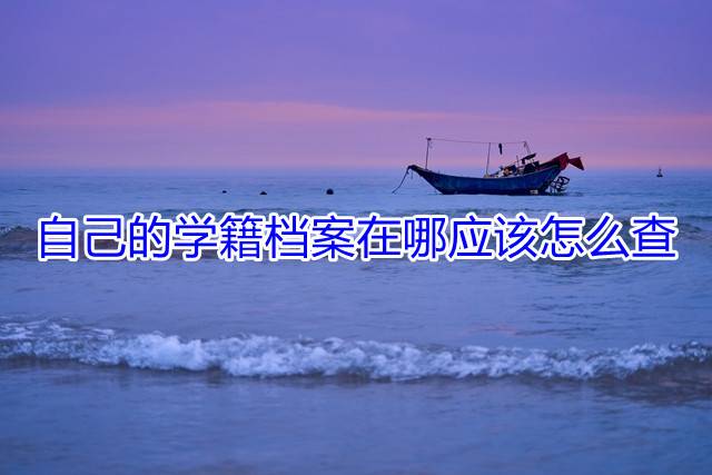 自己的学籍档案在哪应该怎么查