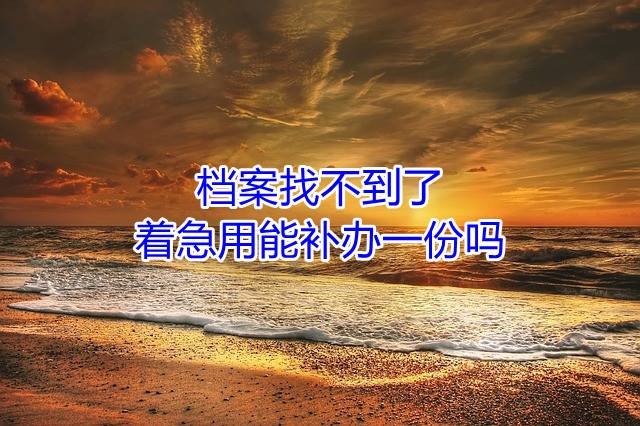 档案找不到了，着急用能补办一份吗