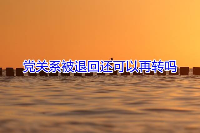 党关系被退回还可以再转吗