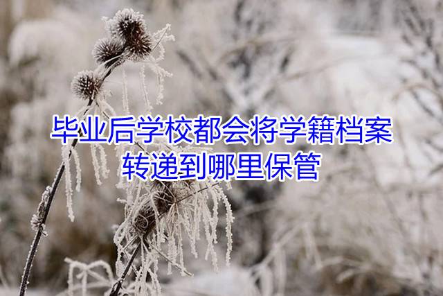 毕业后学校都会将学籍档案转递到哪里保管