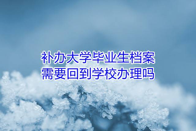 补办大学毕业生档案需要回到学校办理吗