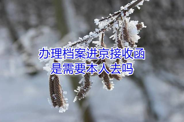办理档案进京接收函是需要本人去吗