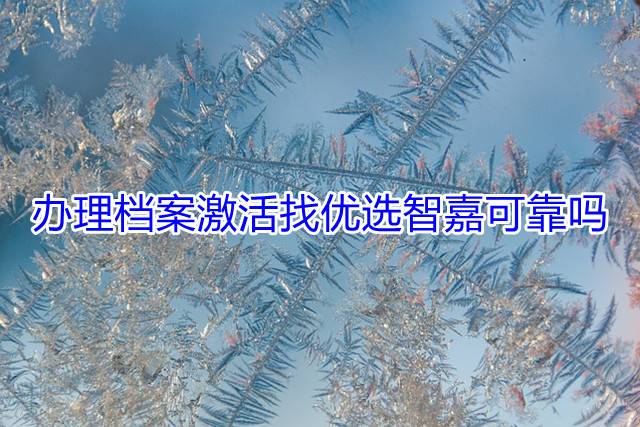 办理档案激活找优选智嘉可靠吗