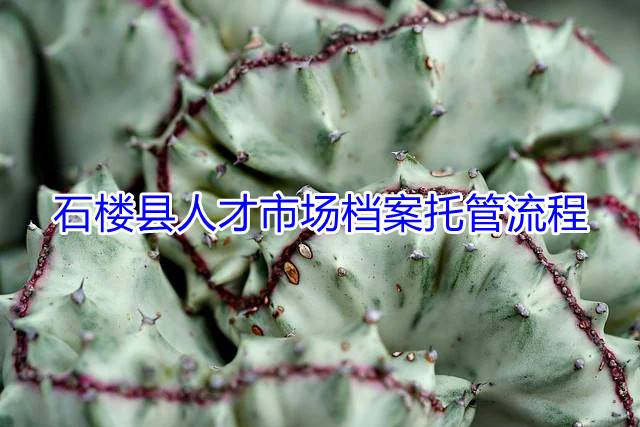 石楼县人才市场档案托管流程