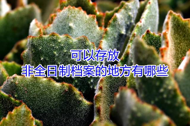 可以存放非全日制档案的地方有哪些