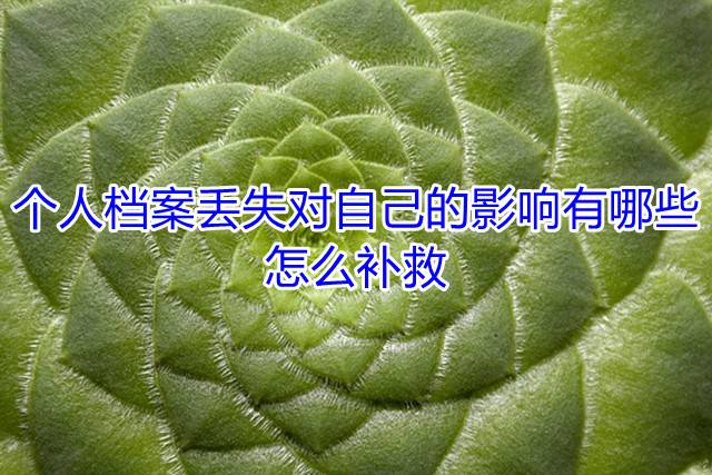 个人档案丢失对自己的影响有哪些，怎么补救