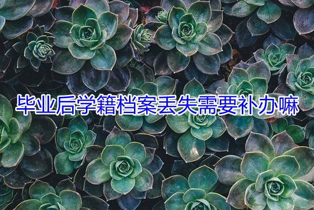毕业后学籍档案丢失需要补办嘛