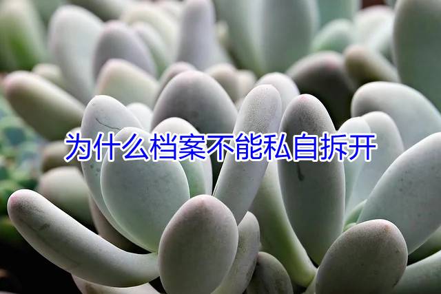 为什么档案不能私自拆开