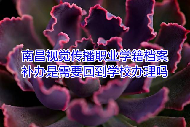 南昌视觉传播职业学院学籍档案补办是需要回到学校办理吗